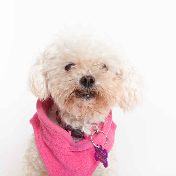 Frannie Lou