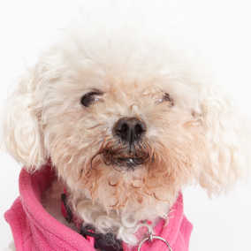 Frannie Lou