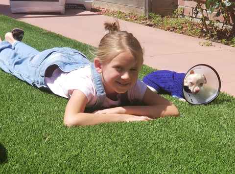 Tiny Tot