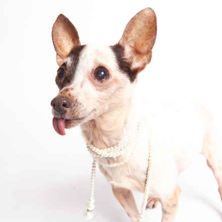 Tallulah