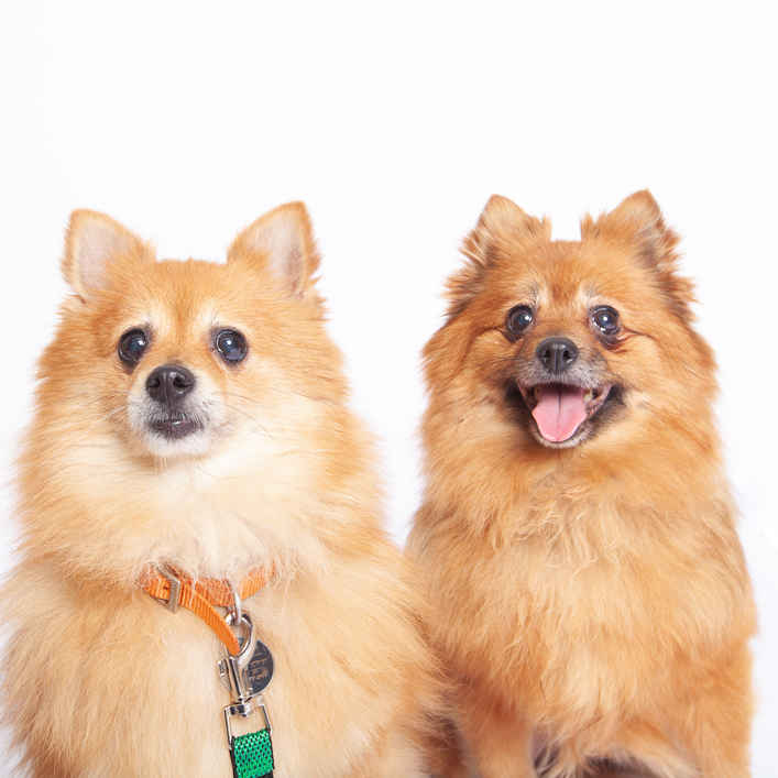 Polly & Esther