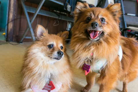 Polly & Esther