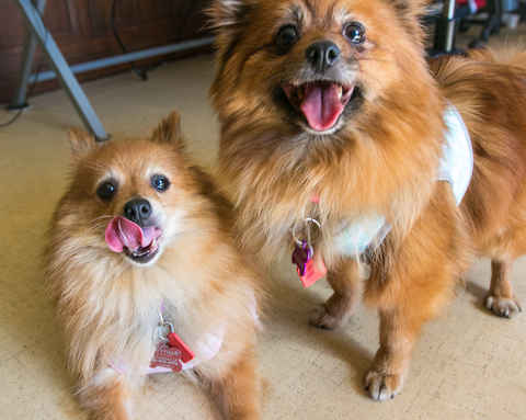 Polly & Esther