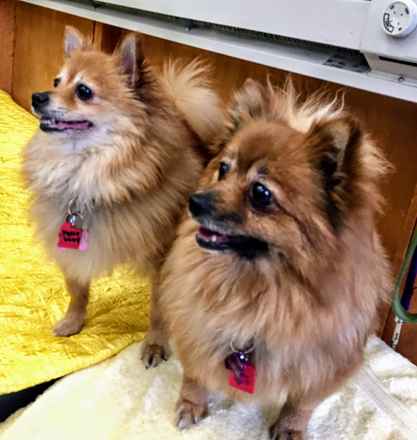 Polly & Esther