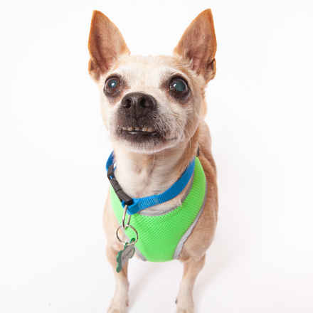 Newman