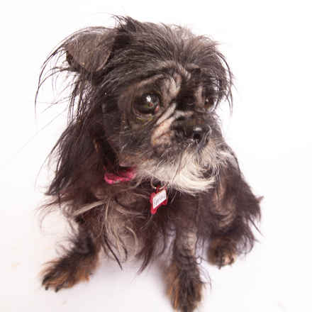 Fantasia