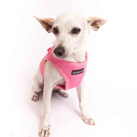 Gia