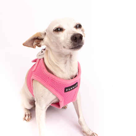 Gia