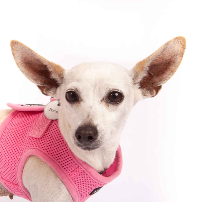 Gia