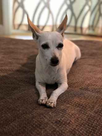 Gia