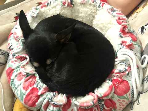 Eloise