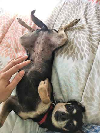 Eloise