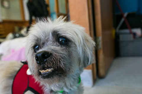 Jethro