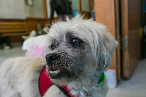 Jethro