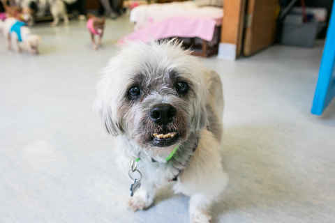 Jethro