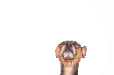 Gunther
