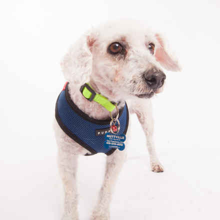 Fuzzy La Croix