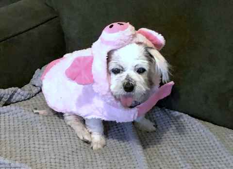 Sally Brown
