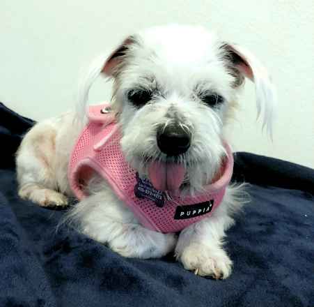 Sally Brown