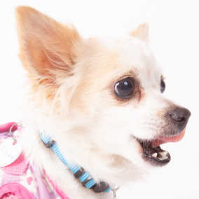 Lilah