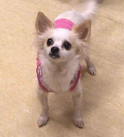 Lilah