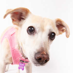 Twyla