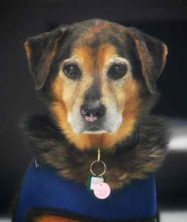 Fleetwood