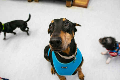 Ernie