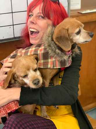 Laverne & Shirley
