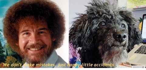 Bob Ross