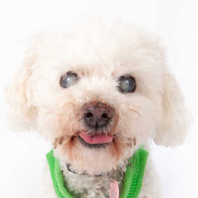 Paco