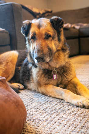 Maddy