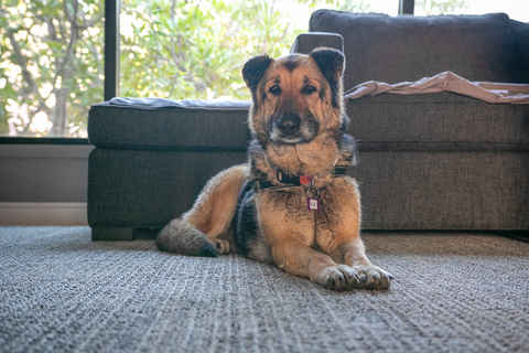 Maddy