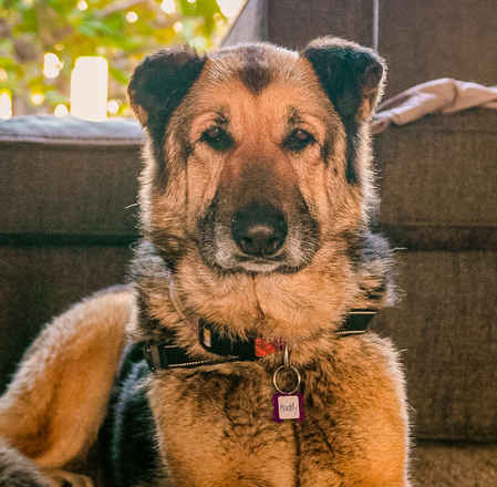Maddy