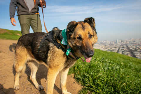Maddy