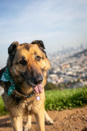 Maddy