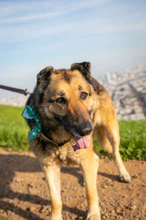 Maddy