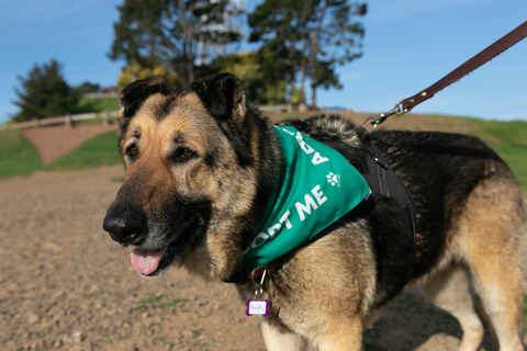 Maddy