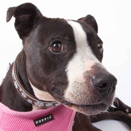 Oona