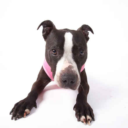 Oona