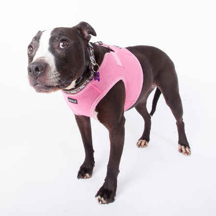 Oona