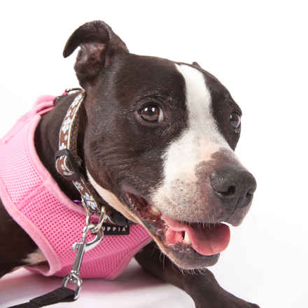 Oona