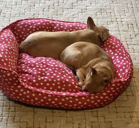 Yukon & Russet