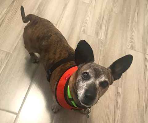 Patrick