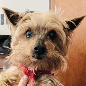 Lucy