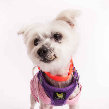 Gumball #