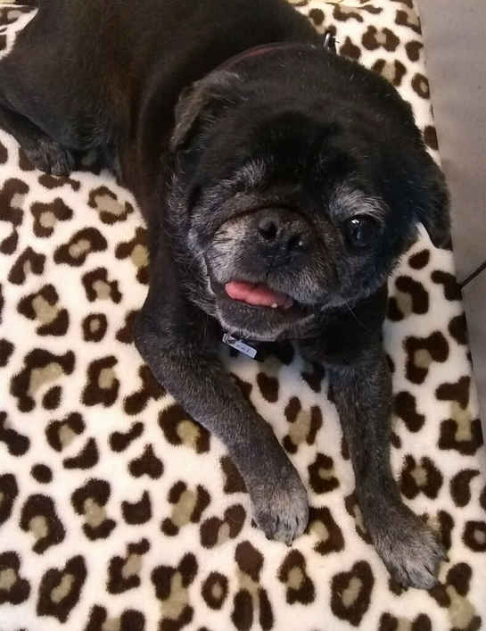 Pixel
