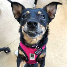 Winnie