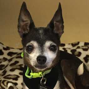 Ethel