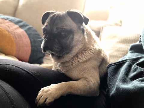 Hutch